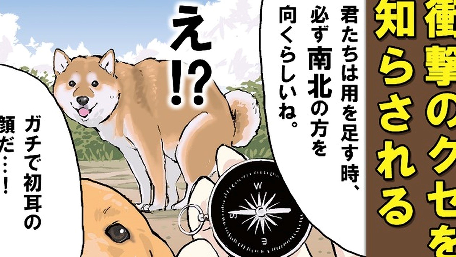 Episode 44