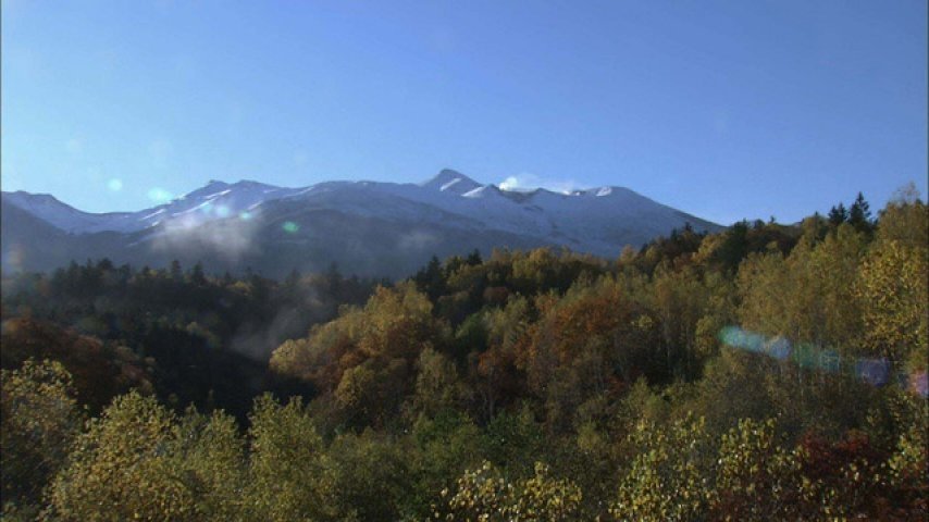 Wild Hokkaido!