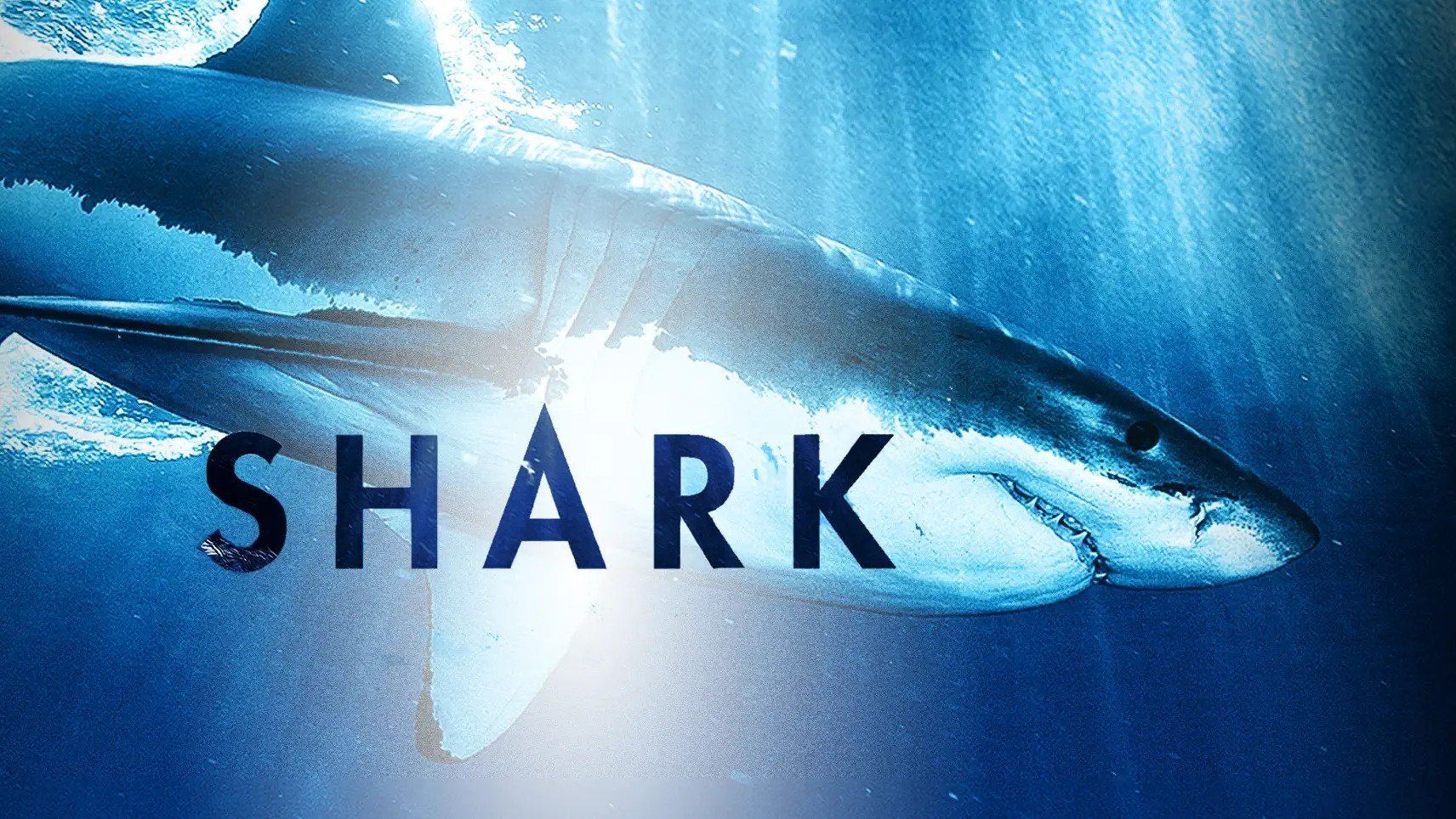 Shark