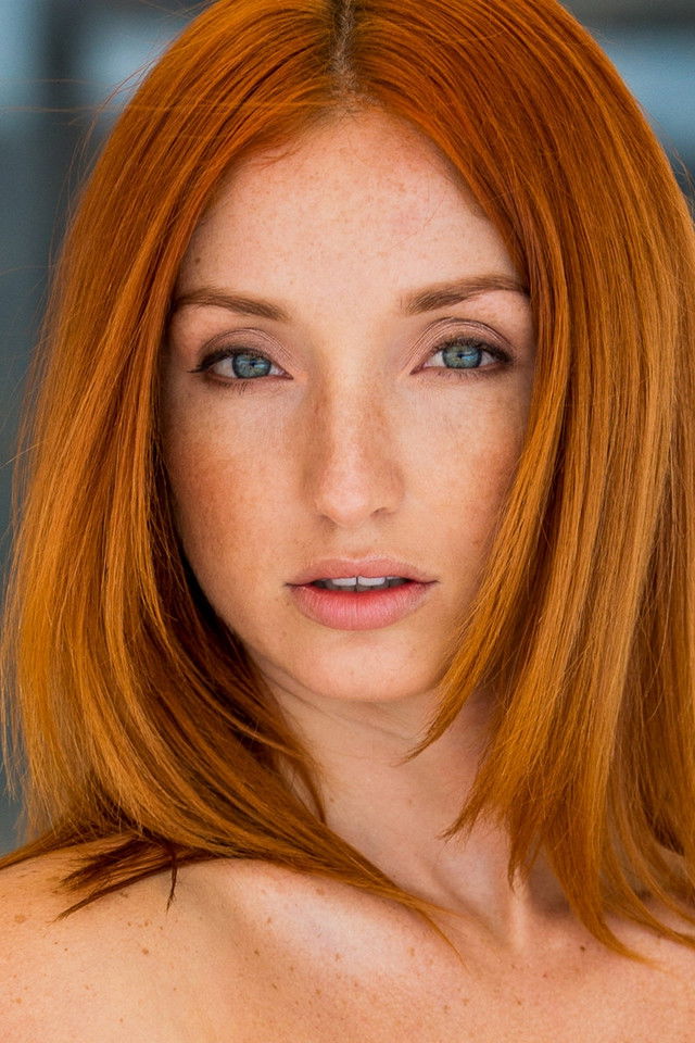 et billede af Red Fox