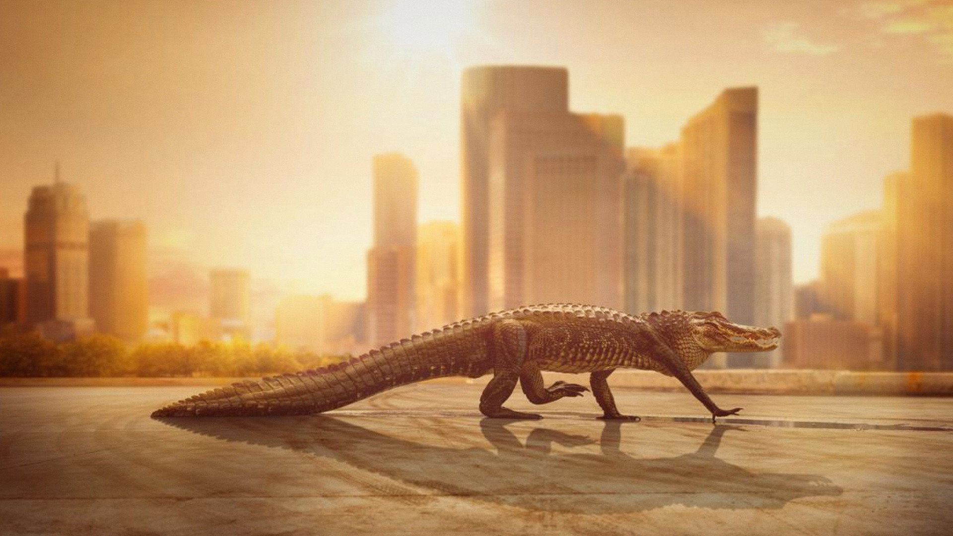 Cities: Nature's New Wild