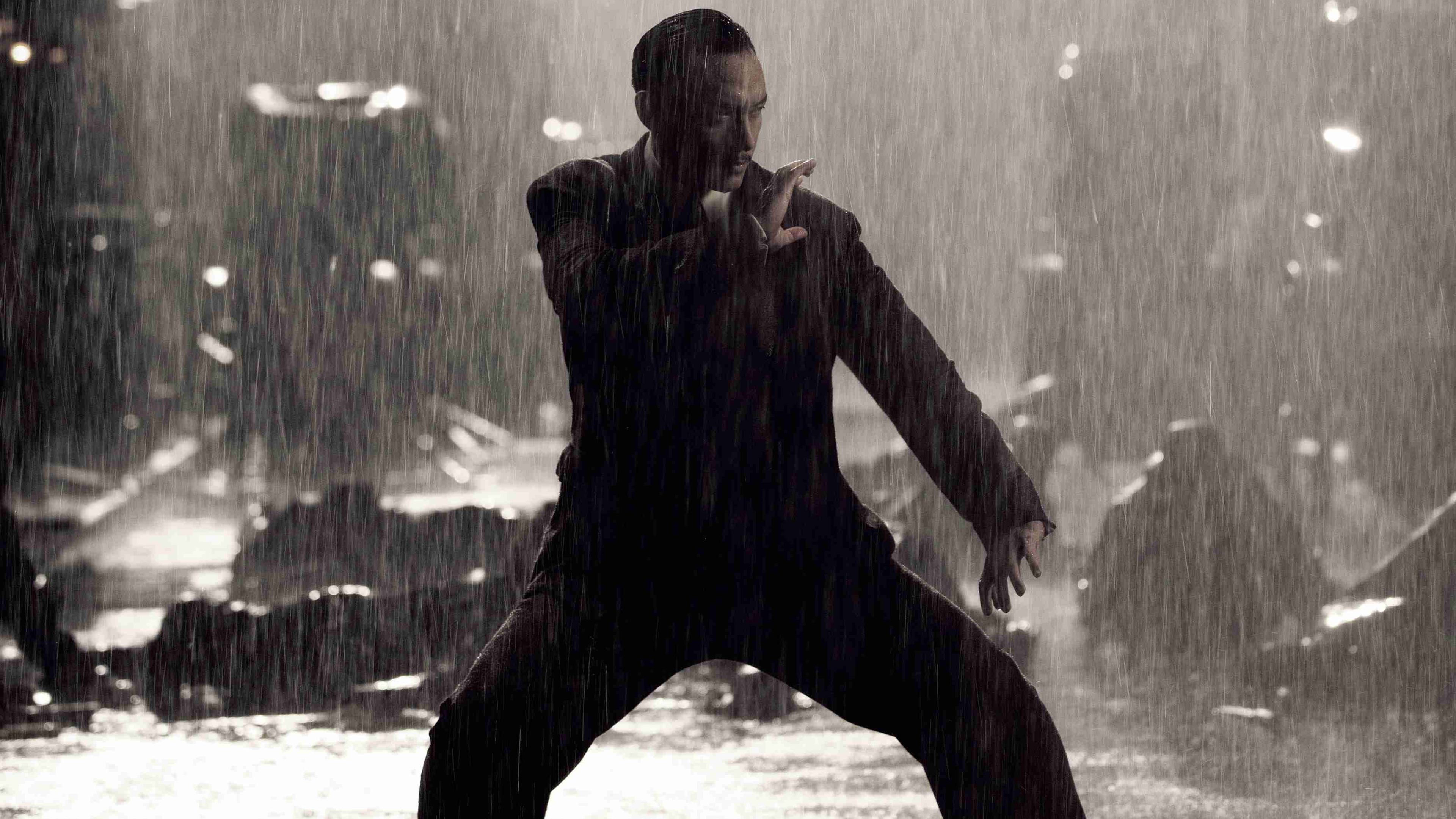 Image du film The Grandmaster affchcjqxptjjvrqtzqrbewbmeljpg