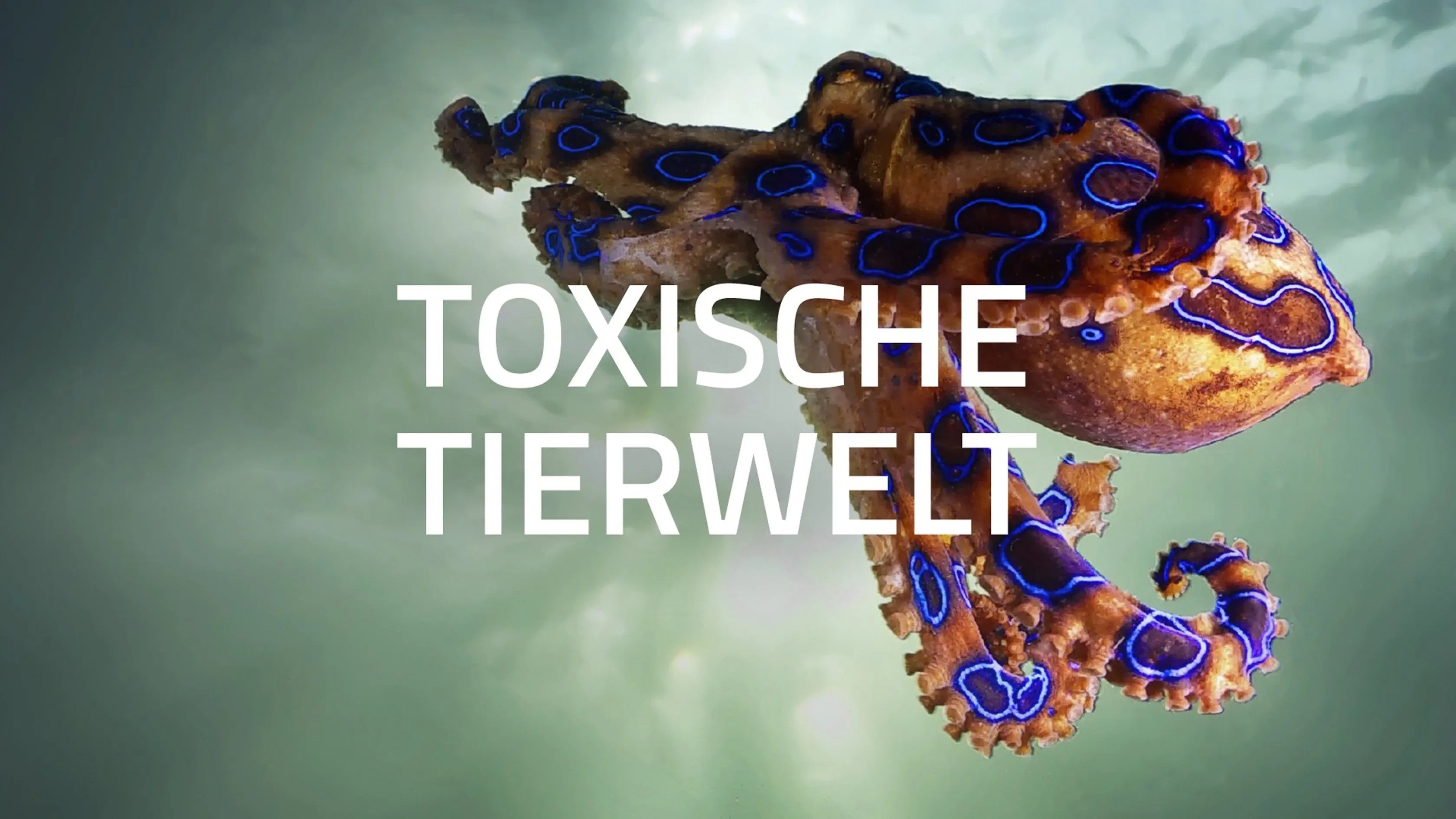 World's Most Toxic Animals - Season 1 Episode 1 : Deserts & Oceans