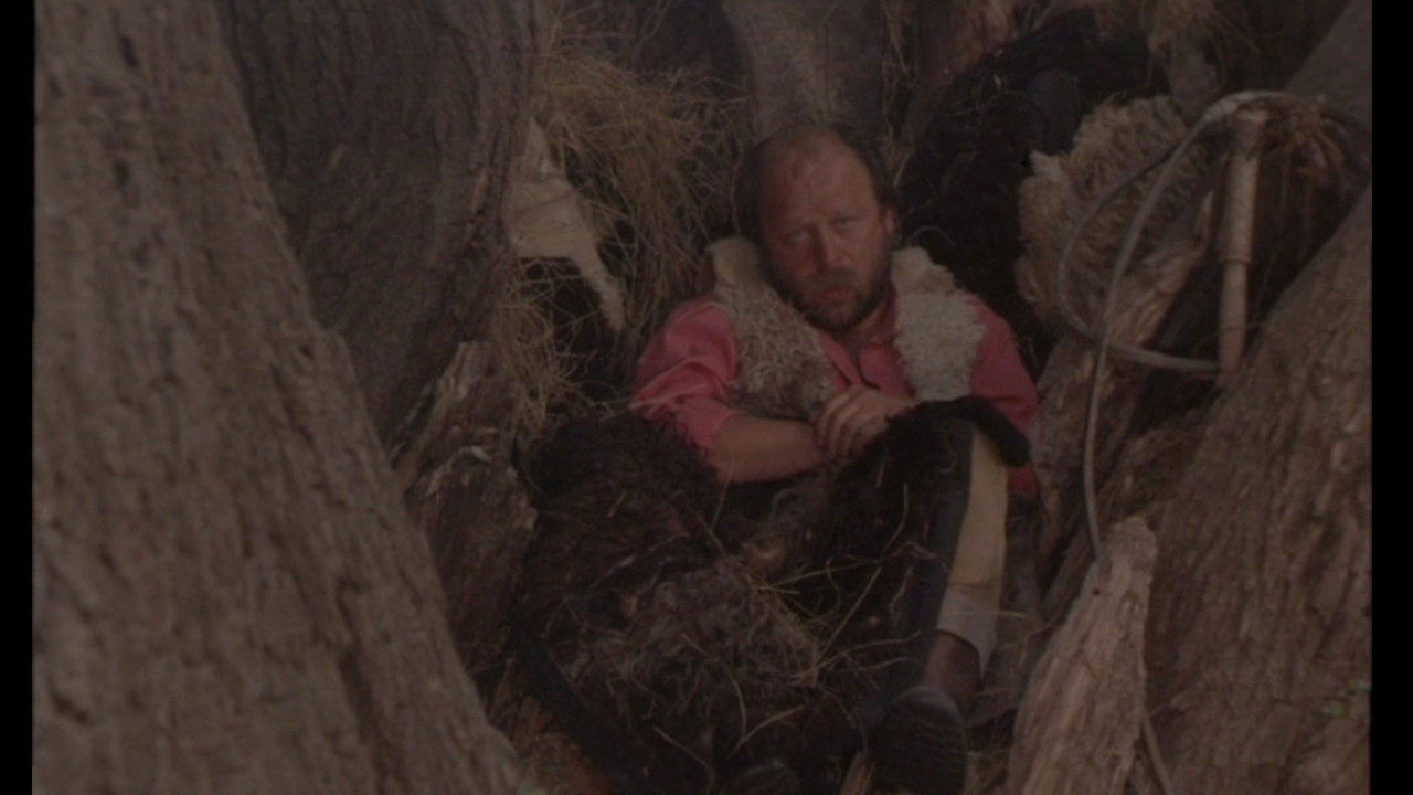 The Muslim (1995)