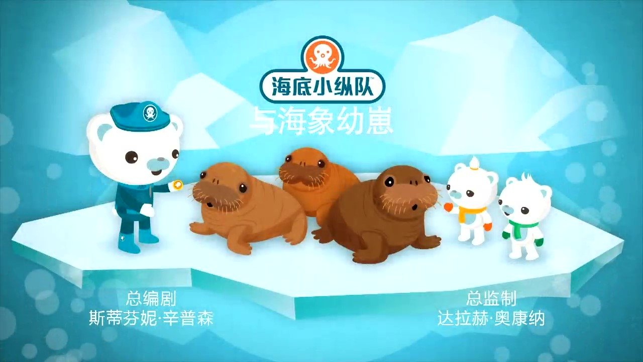 Episode 5 海象幼崽