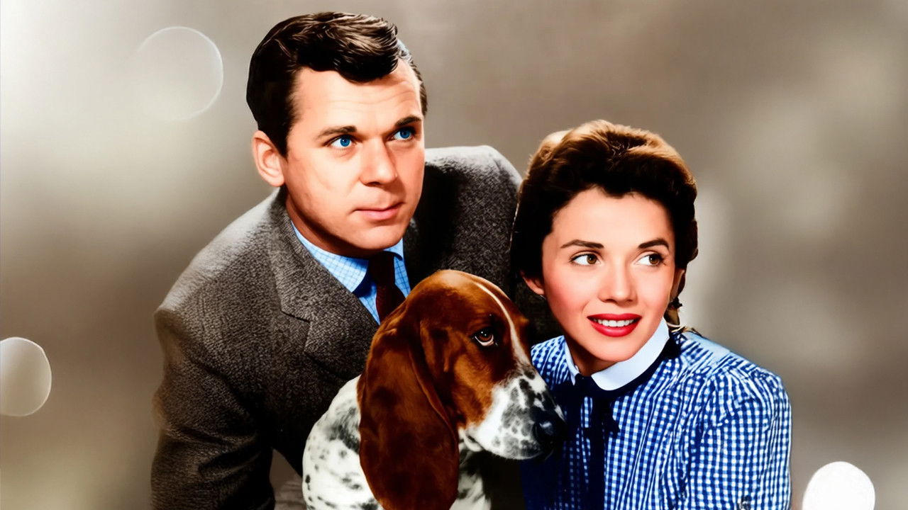 The People's Choice backdrop cover