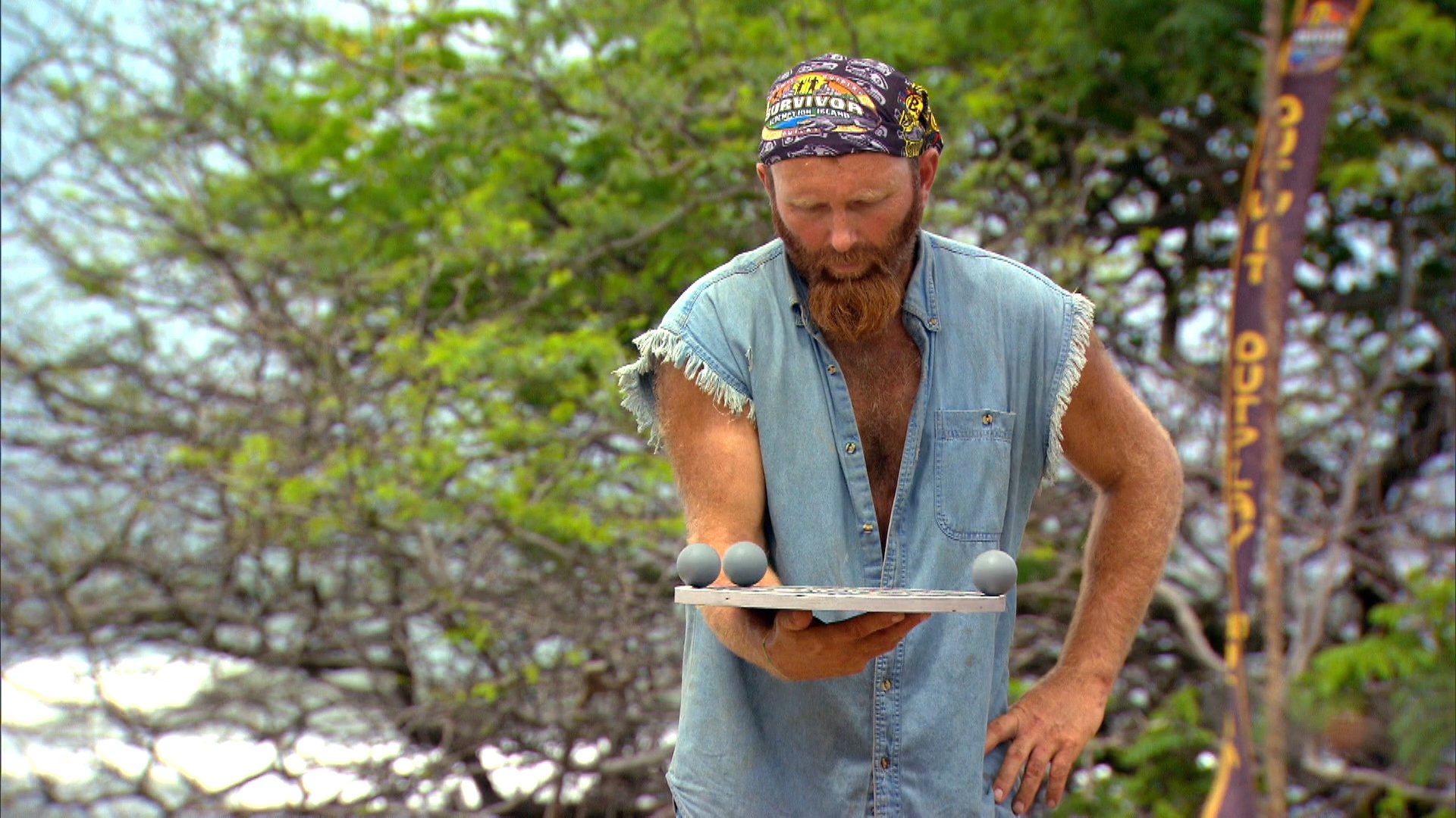 Survivor 22x8