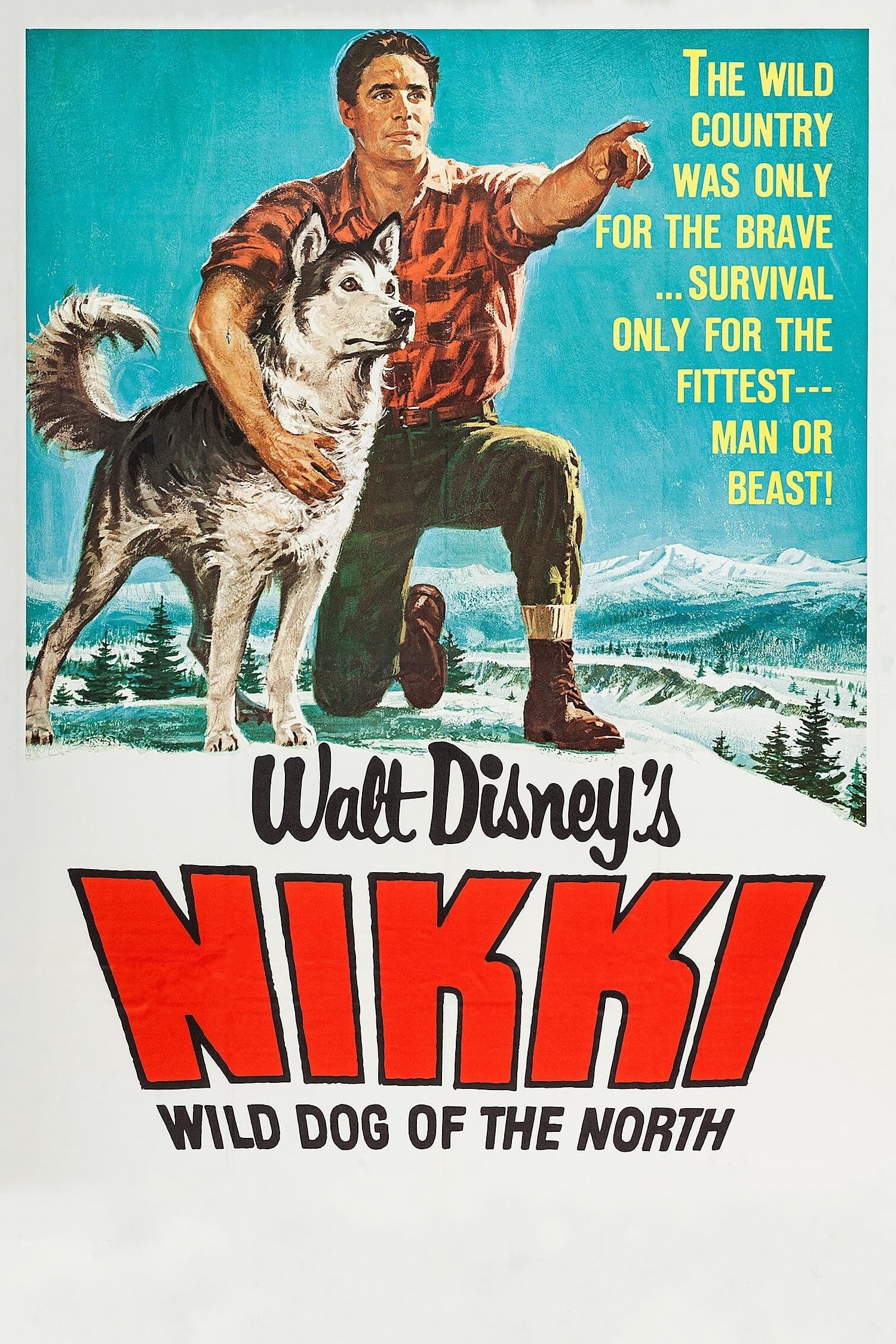 Nikki, Wild Dog of the North