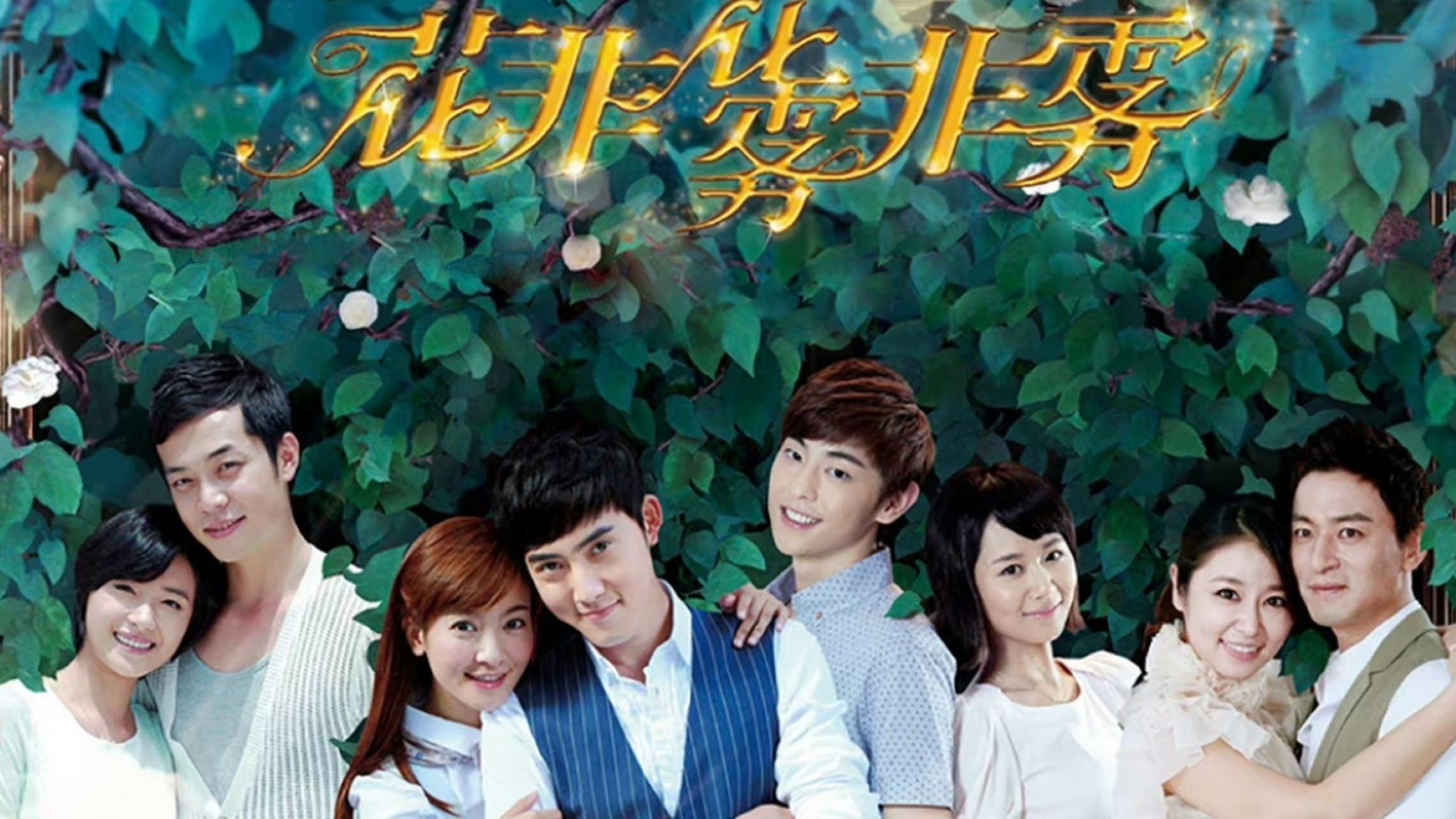 花非花雾非雾 DVD版