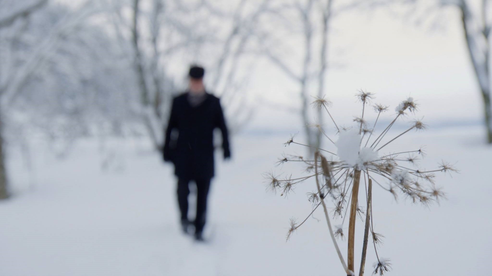 Forteljingar om mot (2018)