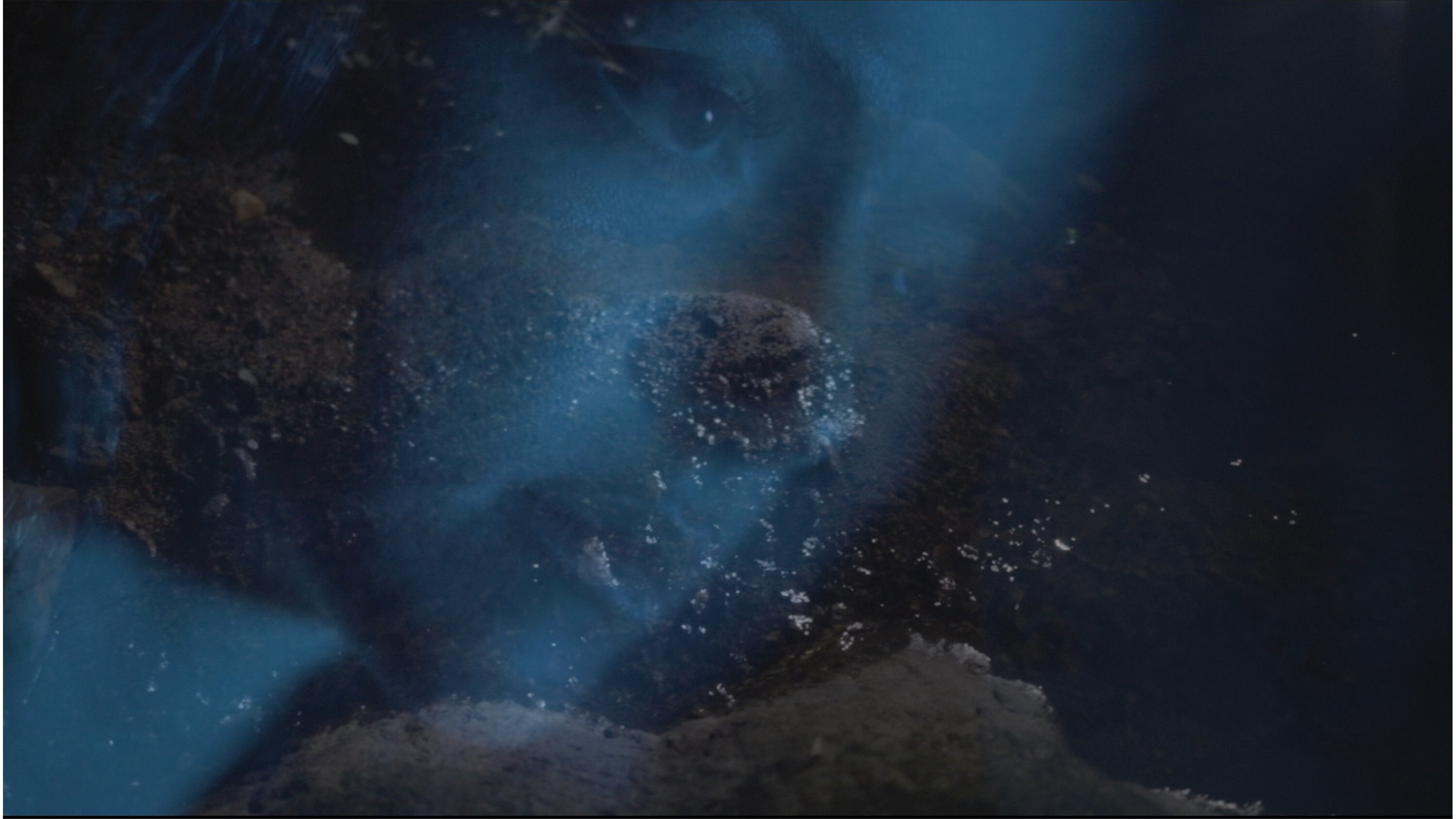 Selva Oscura (2021)