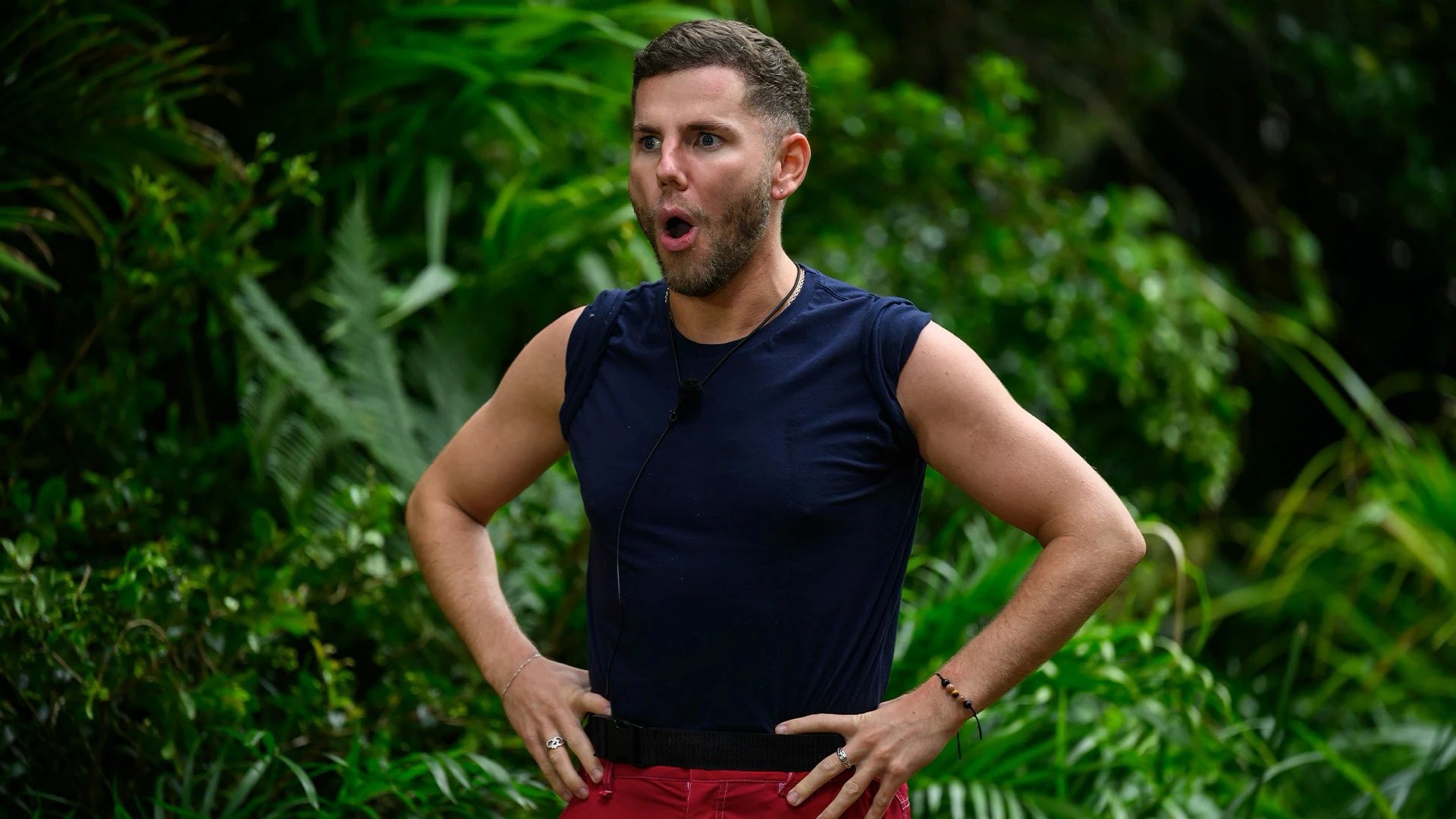 I'm a Celebrity...Get Me Out of Here!