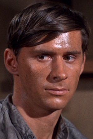 et billede af Burt Brinckerhoff