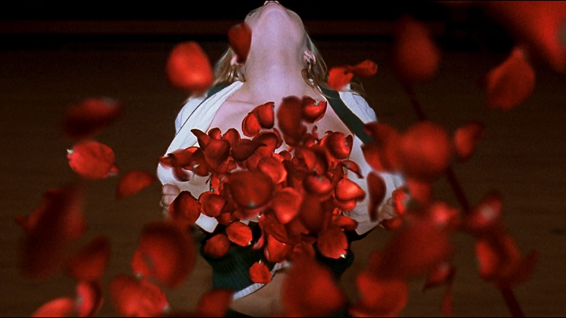 American beauty movie soundtrack — pic 15