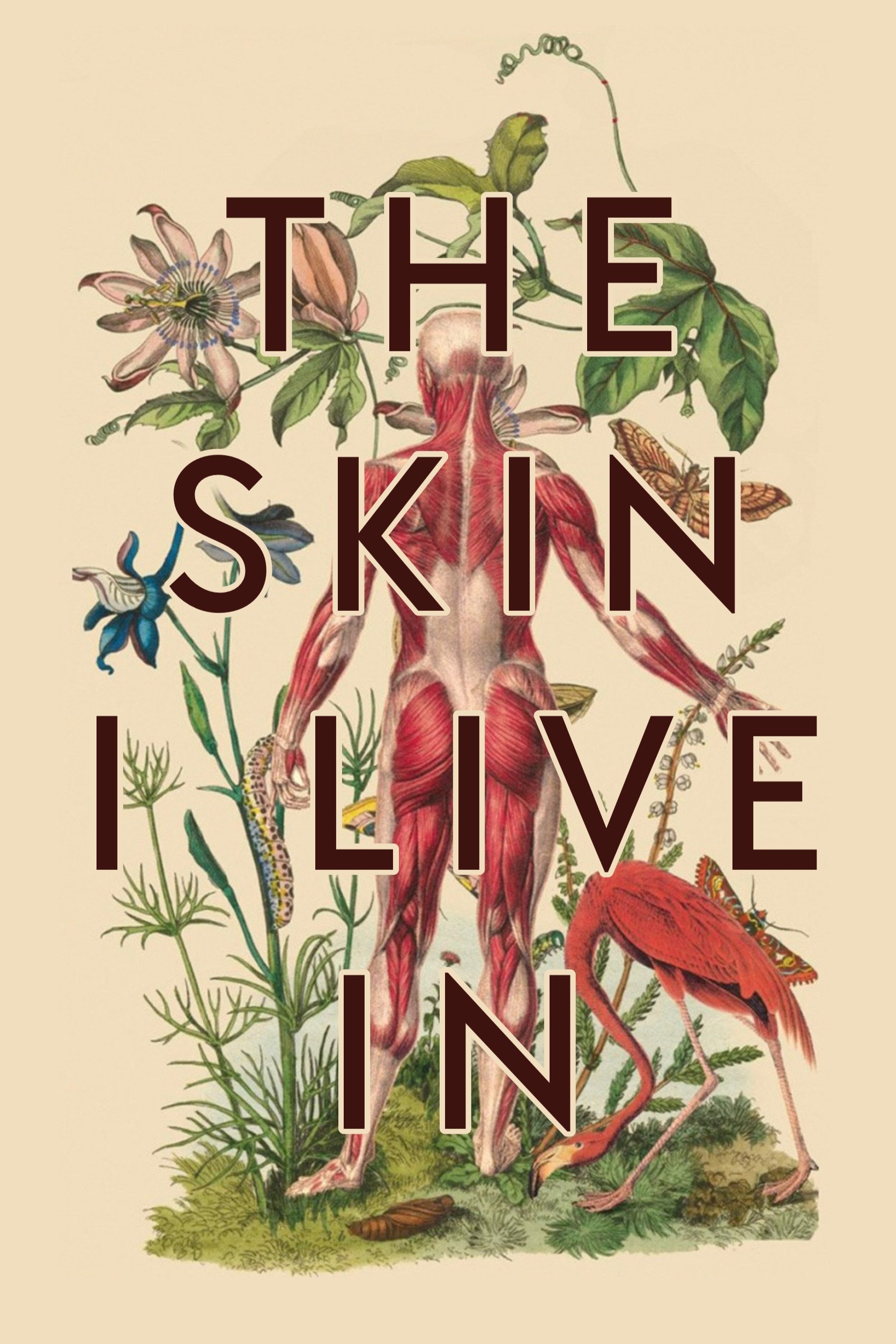 The Skin I Live In