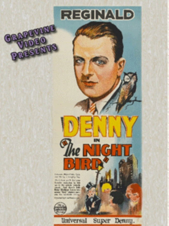 The Night Bird streaming