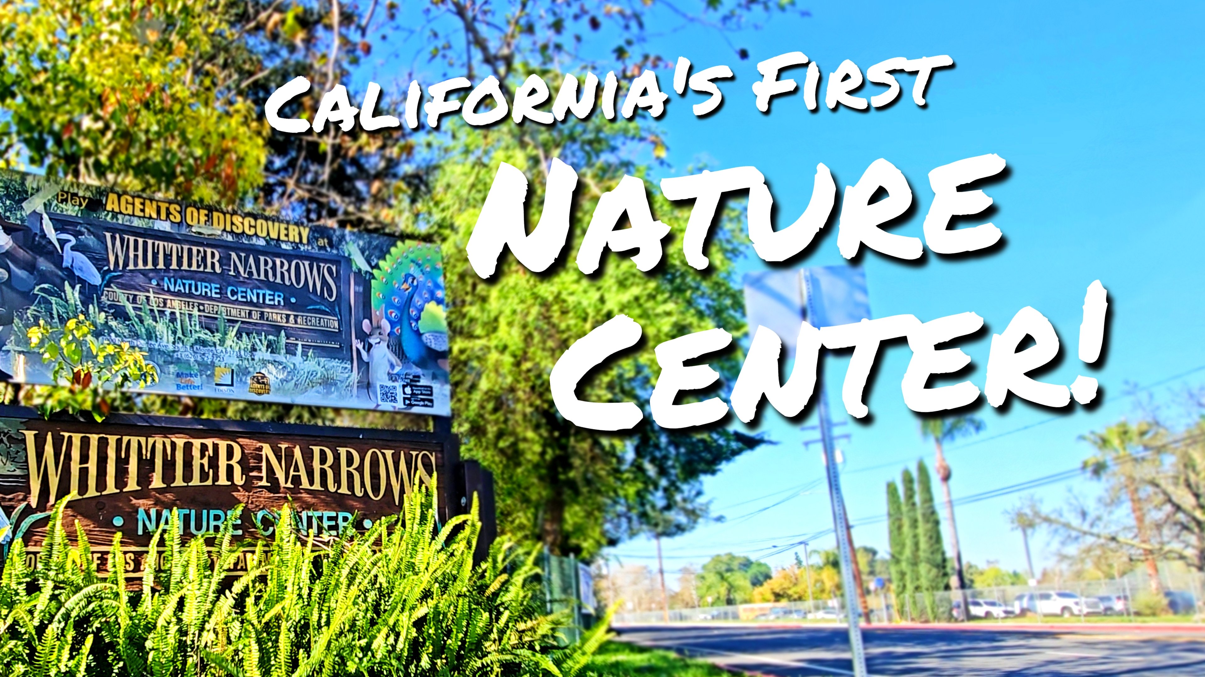 Thumbnail for California's First Nature Center Season 1 Episode 8
