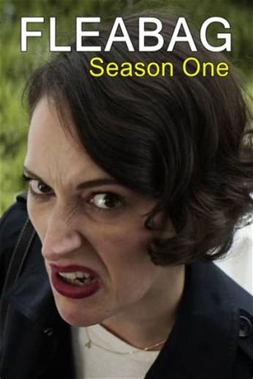 fleabag stream netflix