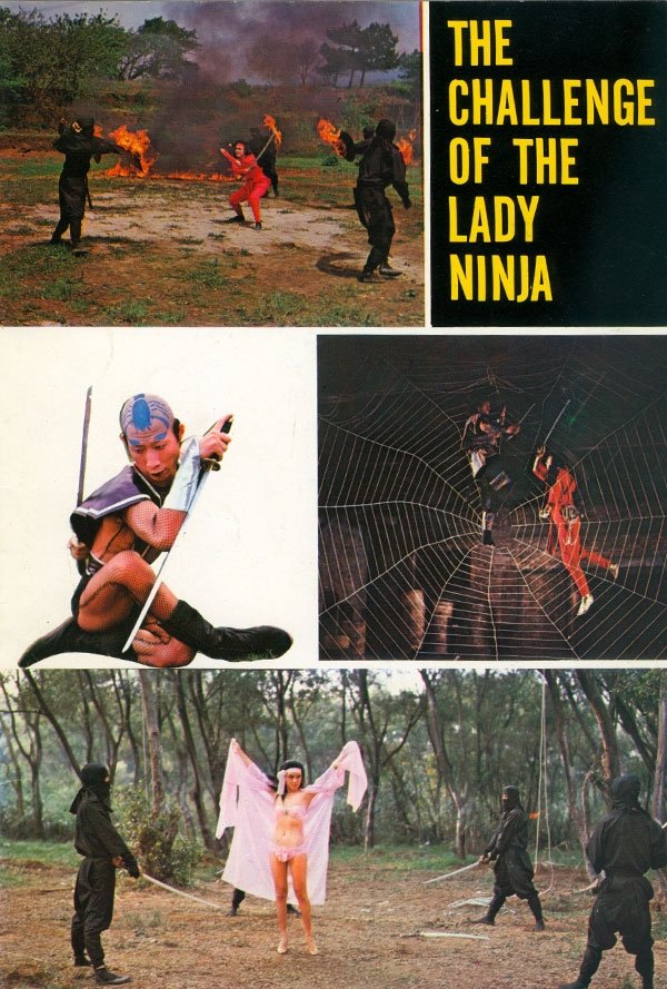 The Challenge of the Lady Ninja