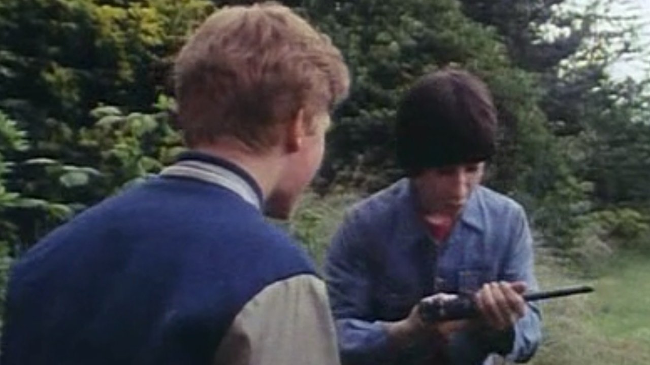 The Professionals
