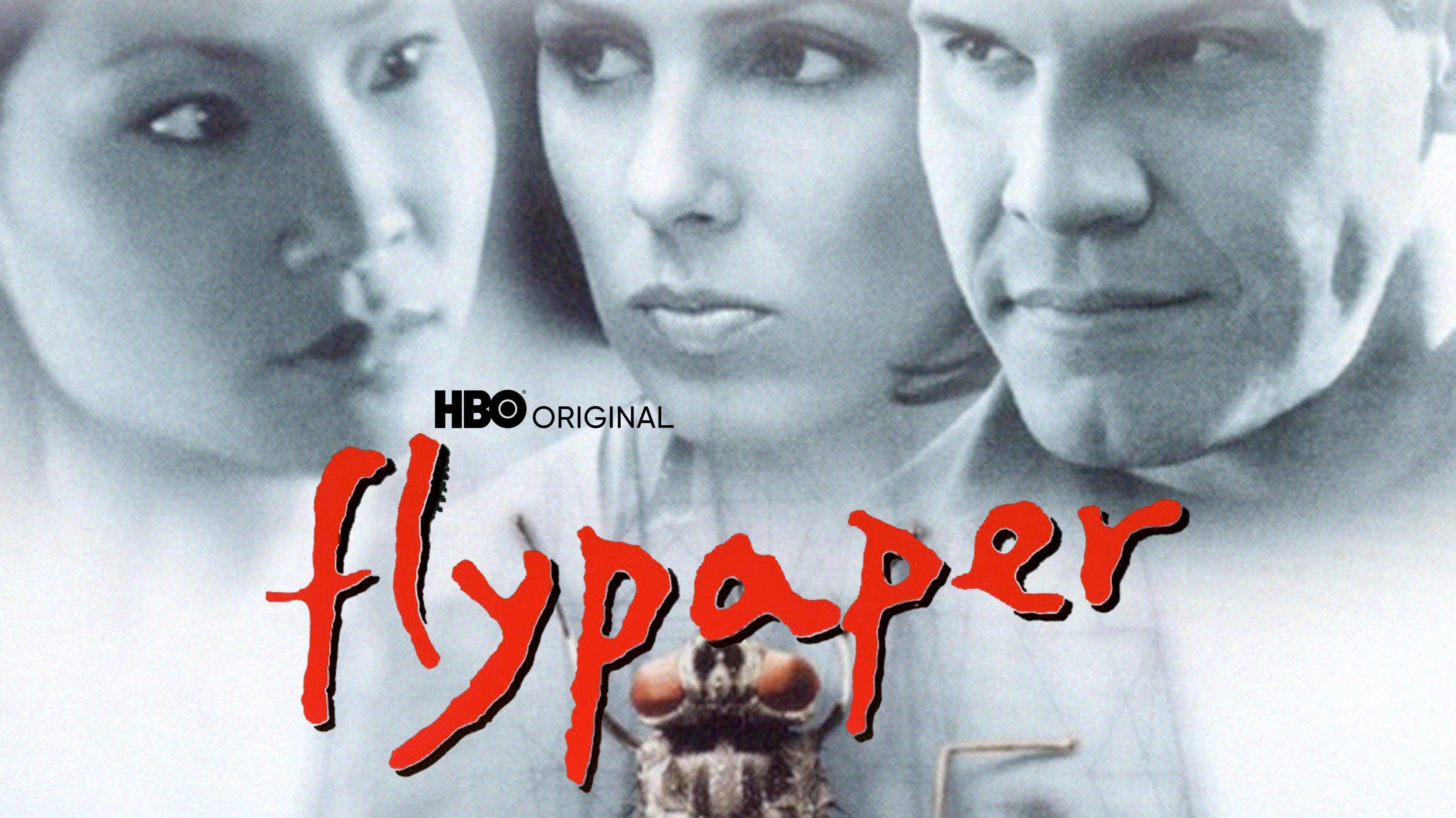 Flypaper (1999)