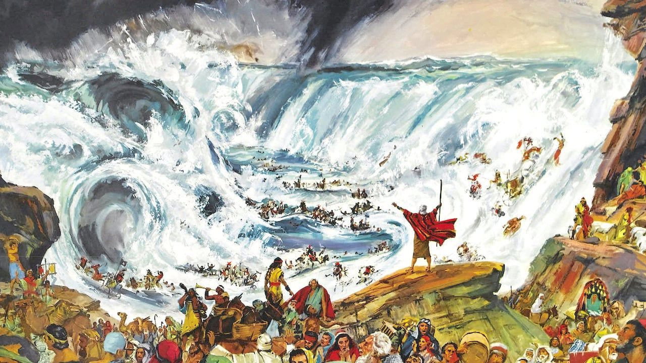 Media image