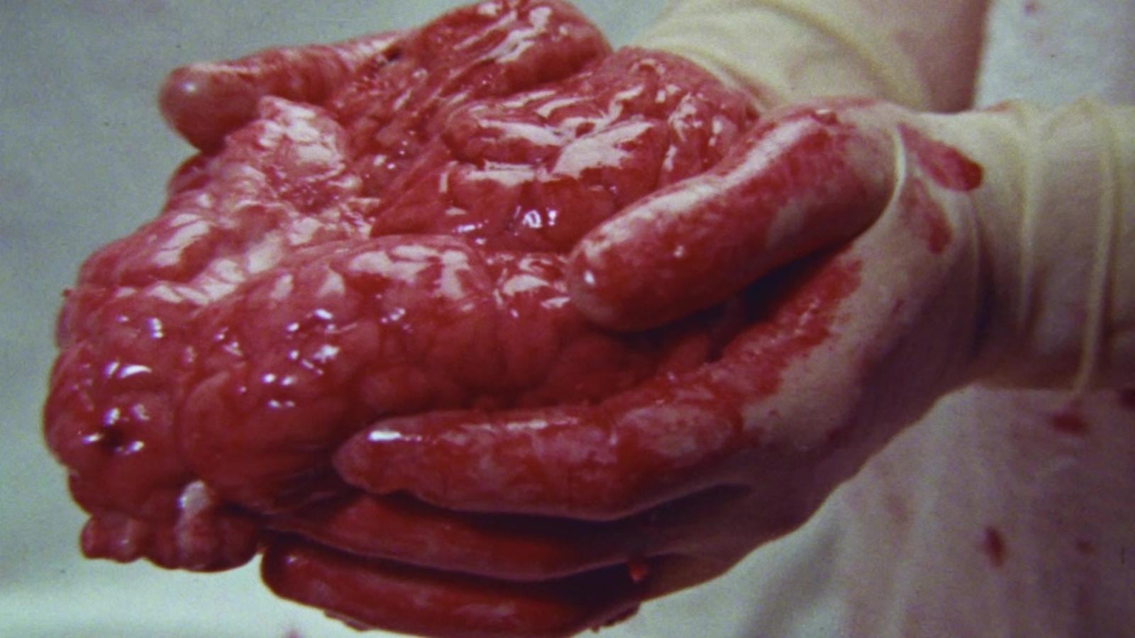 Brain of Blood (1971)