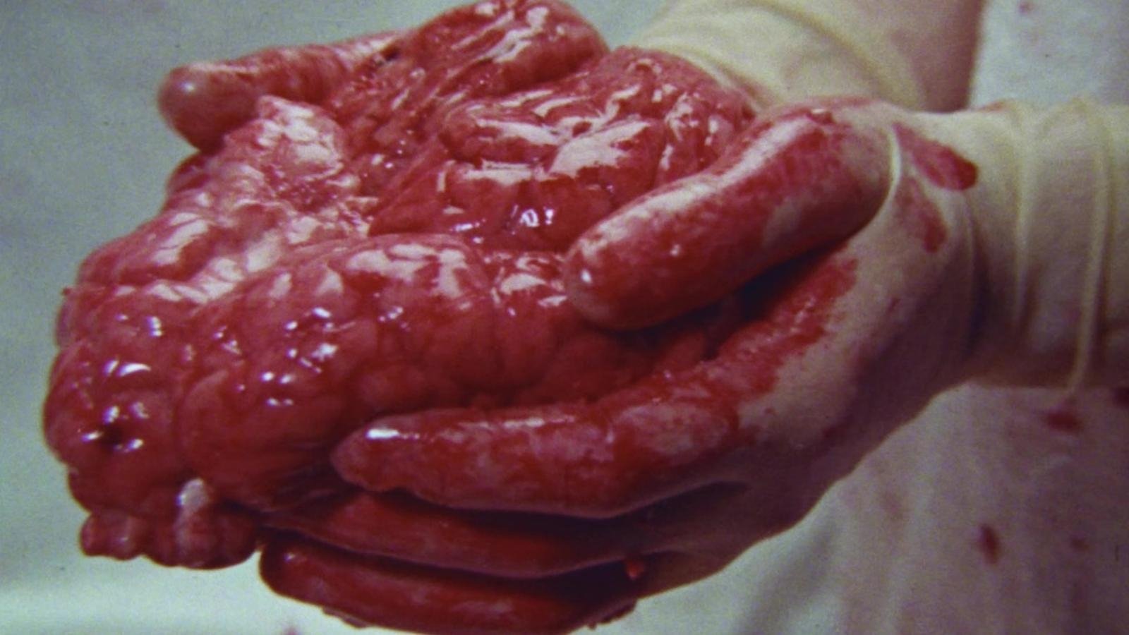 Brain of Blood (1971)