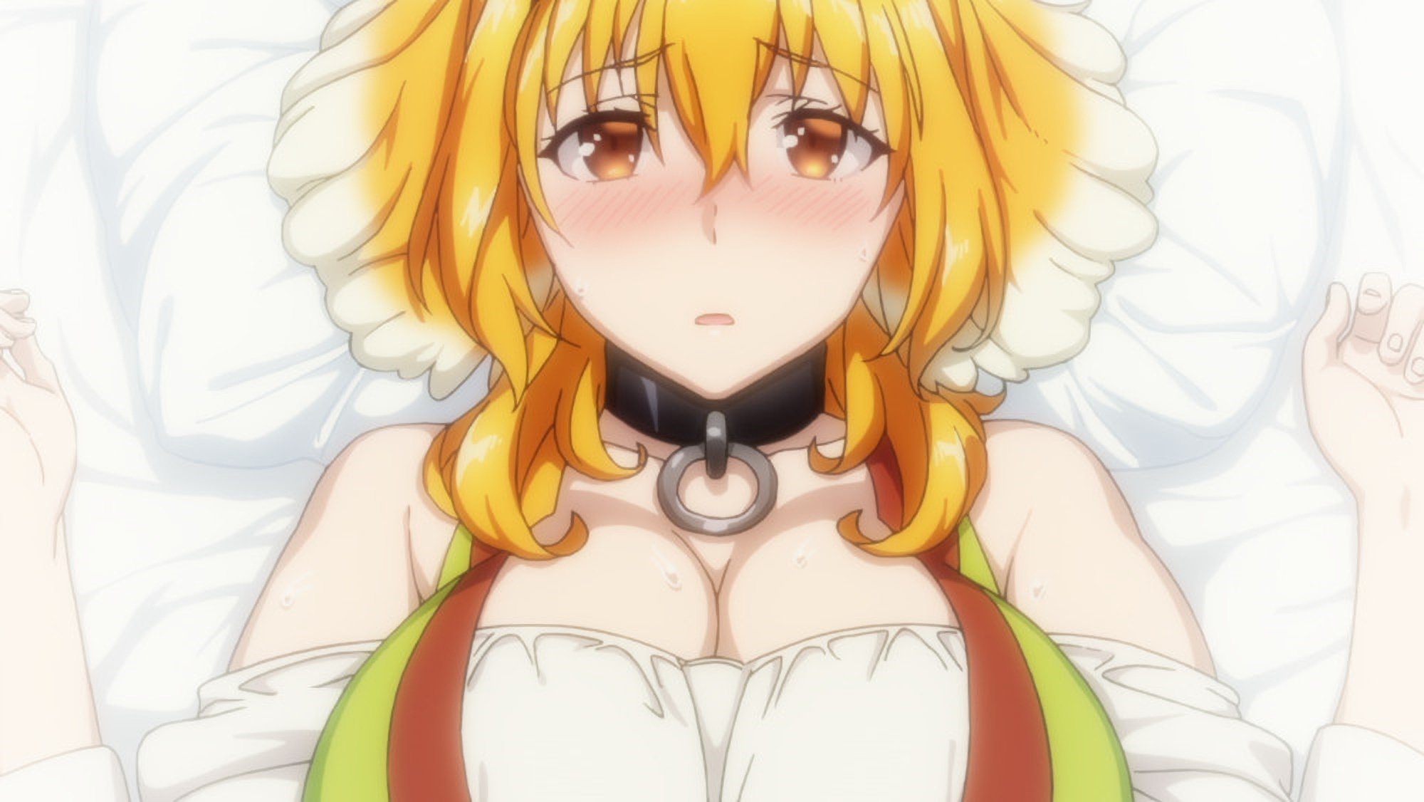 Isekai Meikyuu de Harem wo Ova 2 Sin Censura - ZonaMixs