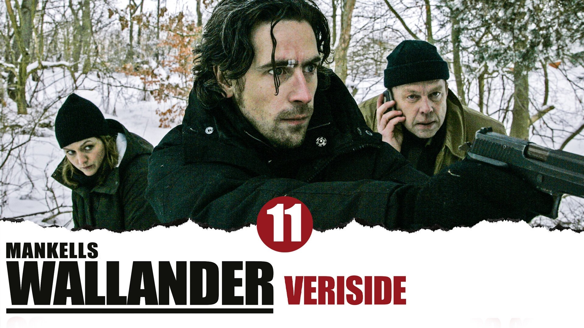 Wallander: Blood Line