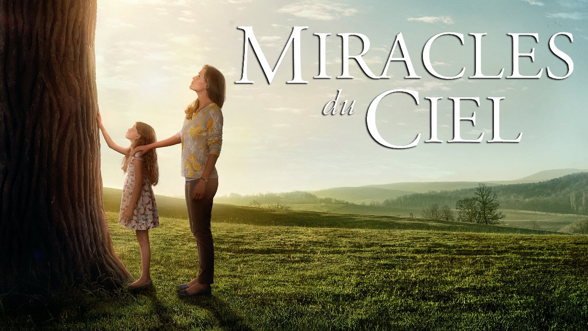 Image du film Miracles du ciel apxs04xi44g2khf7wnzvpybim0wjpg