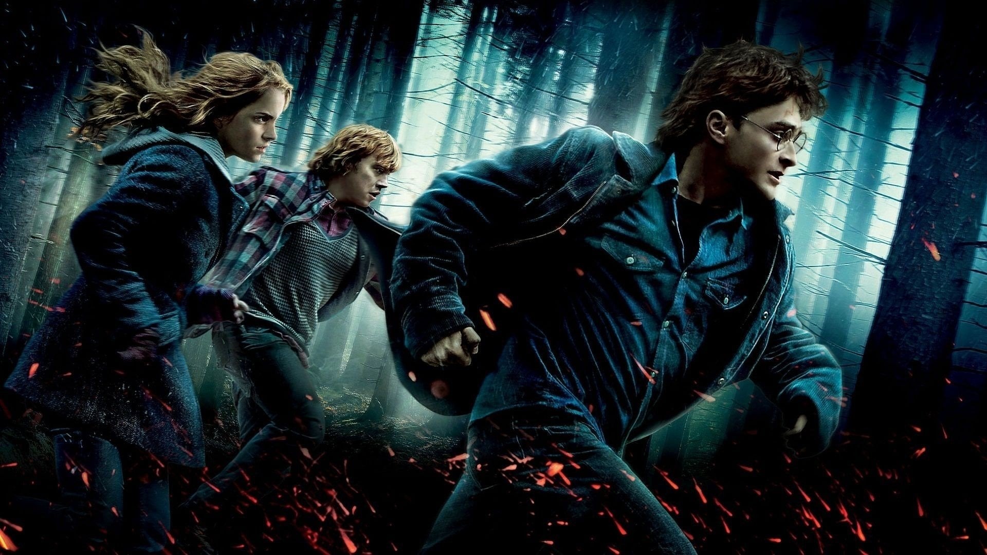 Harry Potter et les Reliques de la mort : 1ère partie (2010)
