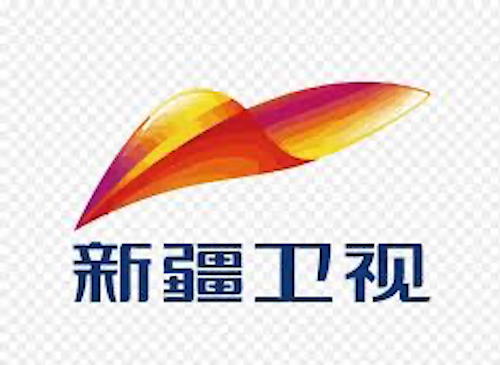 logo nextwork 新疆卫视