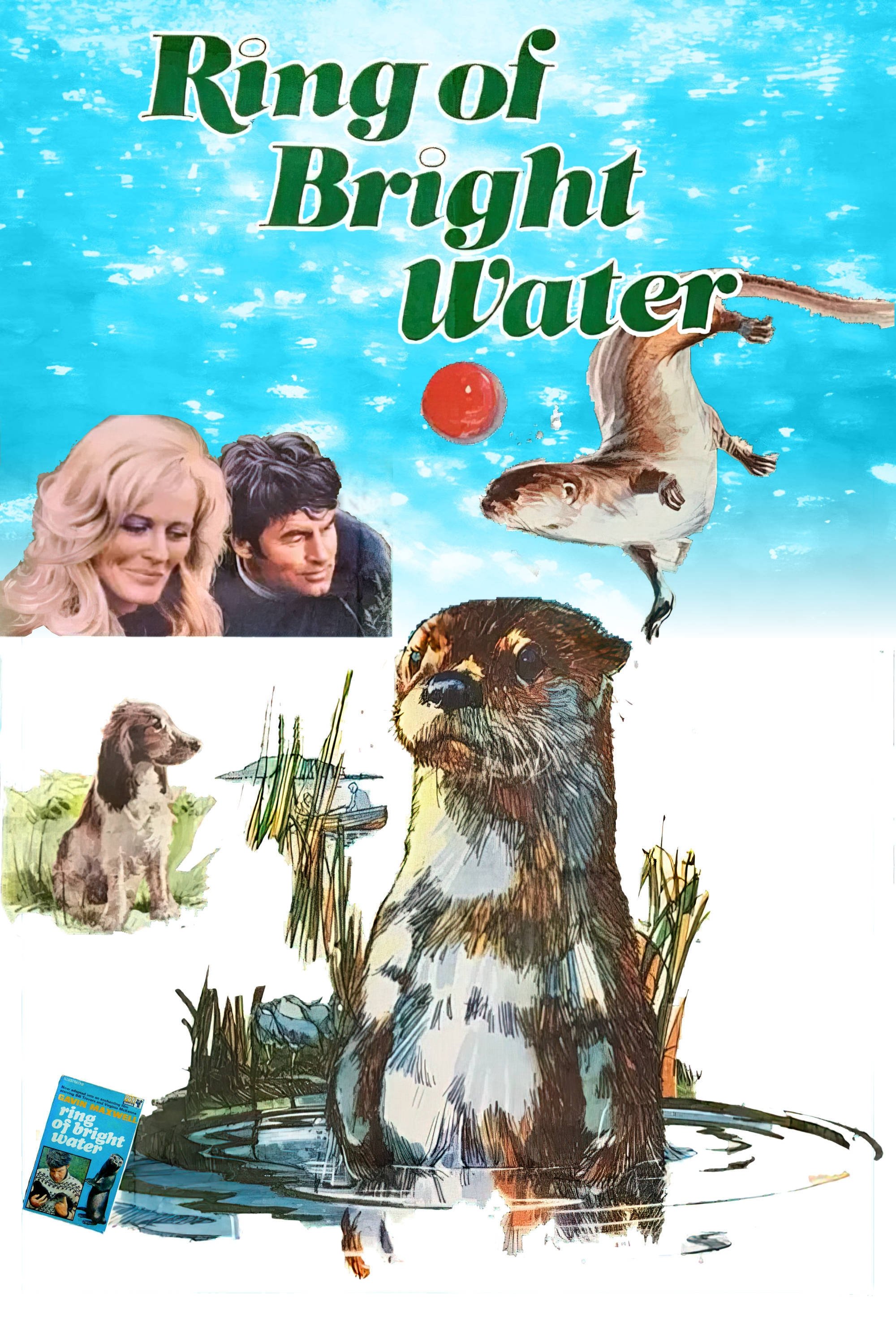 Ring of Bright Water