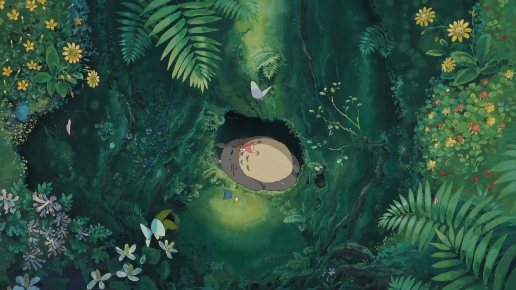 Image du film Mon voisin Totoro arrioqy2w3of19b6dnwqy0fiz8jjpg