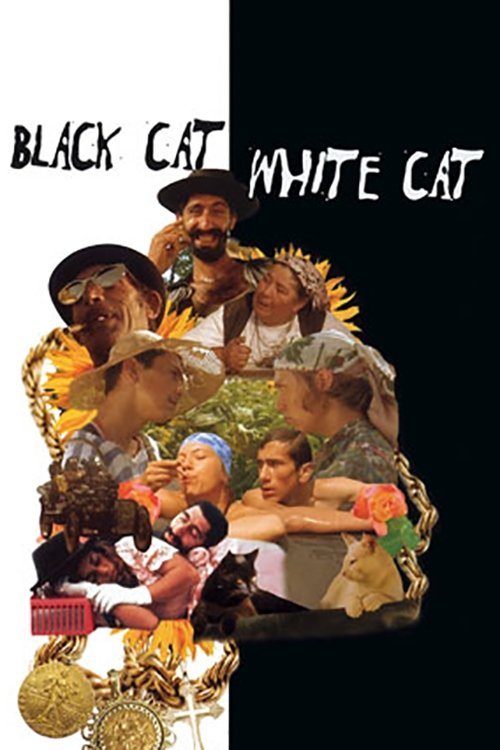Black Cat, White Cat  - Black Cat White Cat (1998) &bull; English on MovieLinkBD