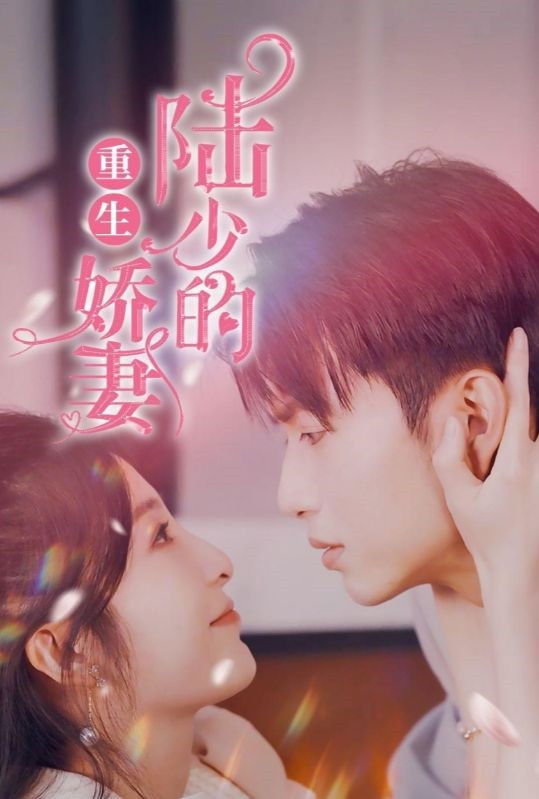 陆少的重生娇妻