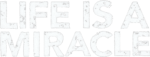 Life Is a Miracle Logo