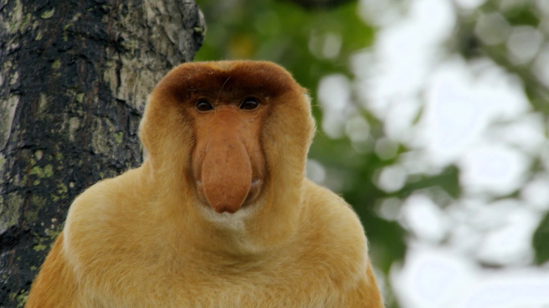 Earth Odyssey with Dylan Dreyer S03E19 backdrop