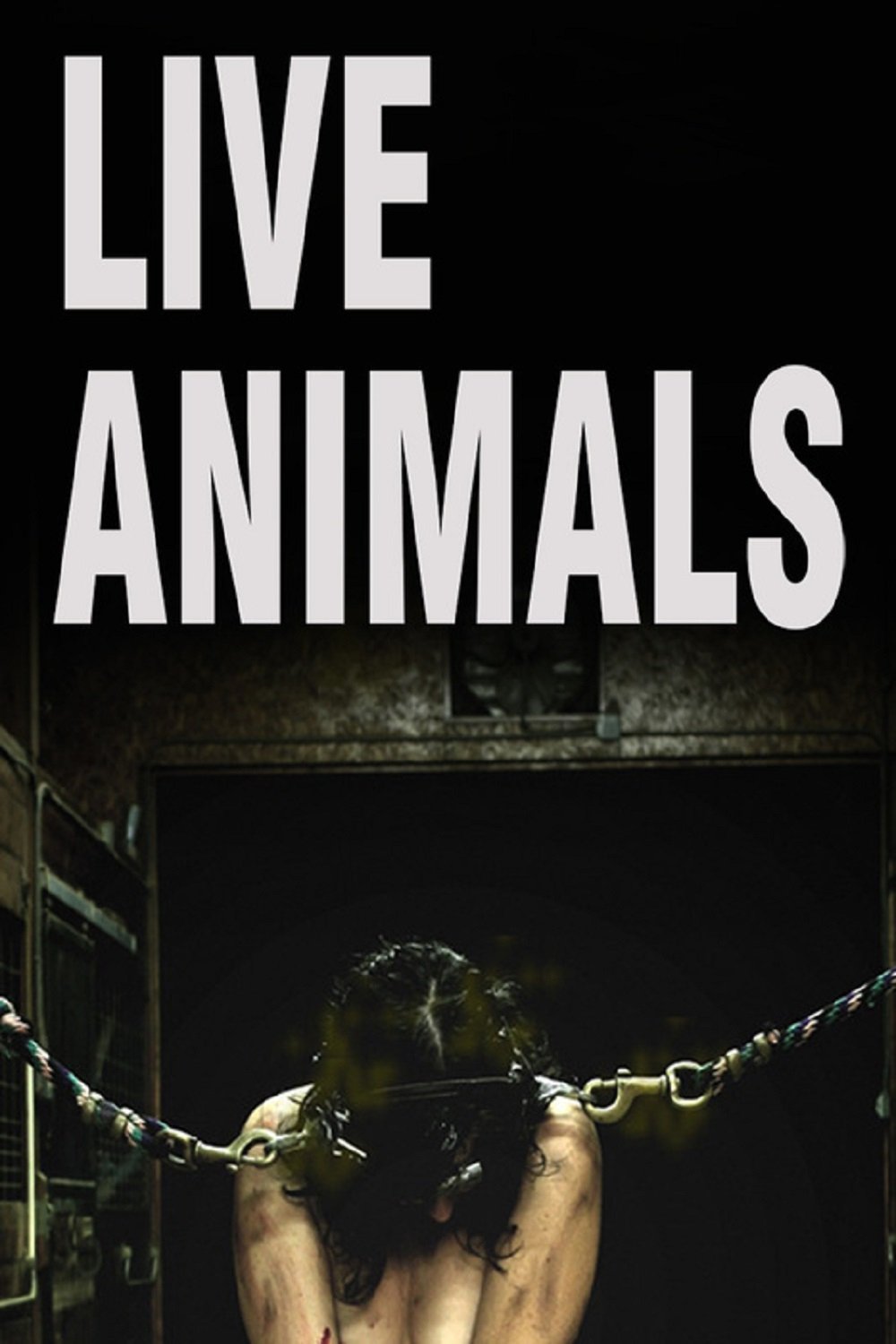 Live Animals