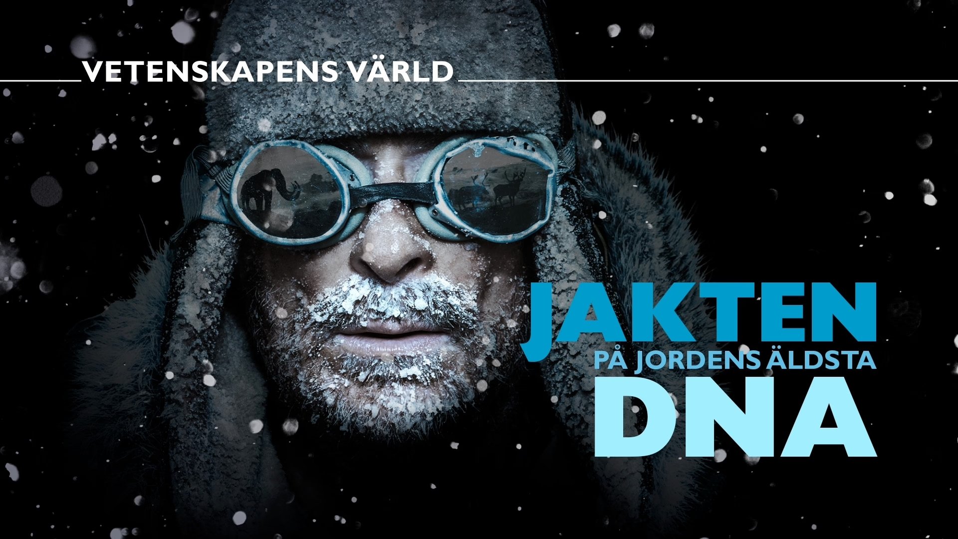 Vetenskapens värld