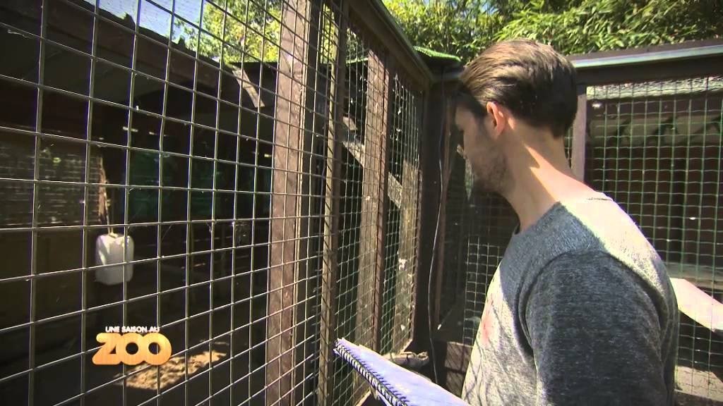Une saison au zoo - Episode 2