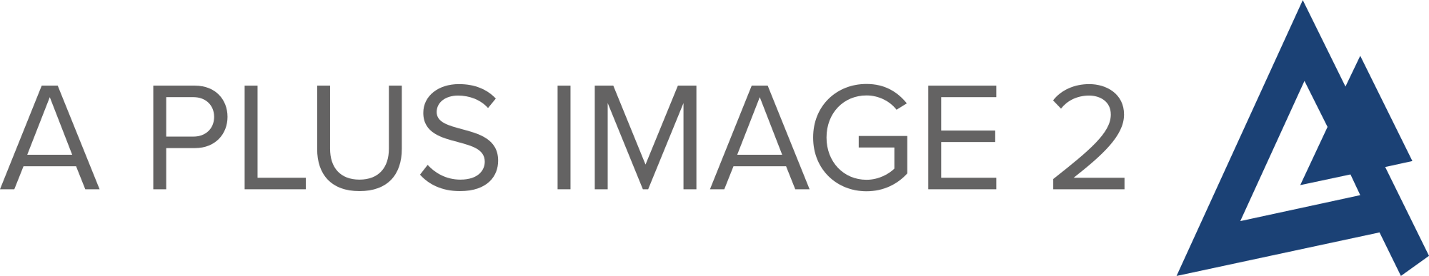 A Plus Image 2