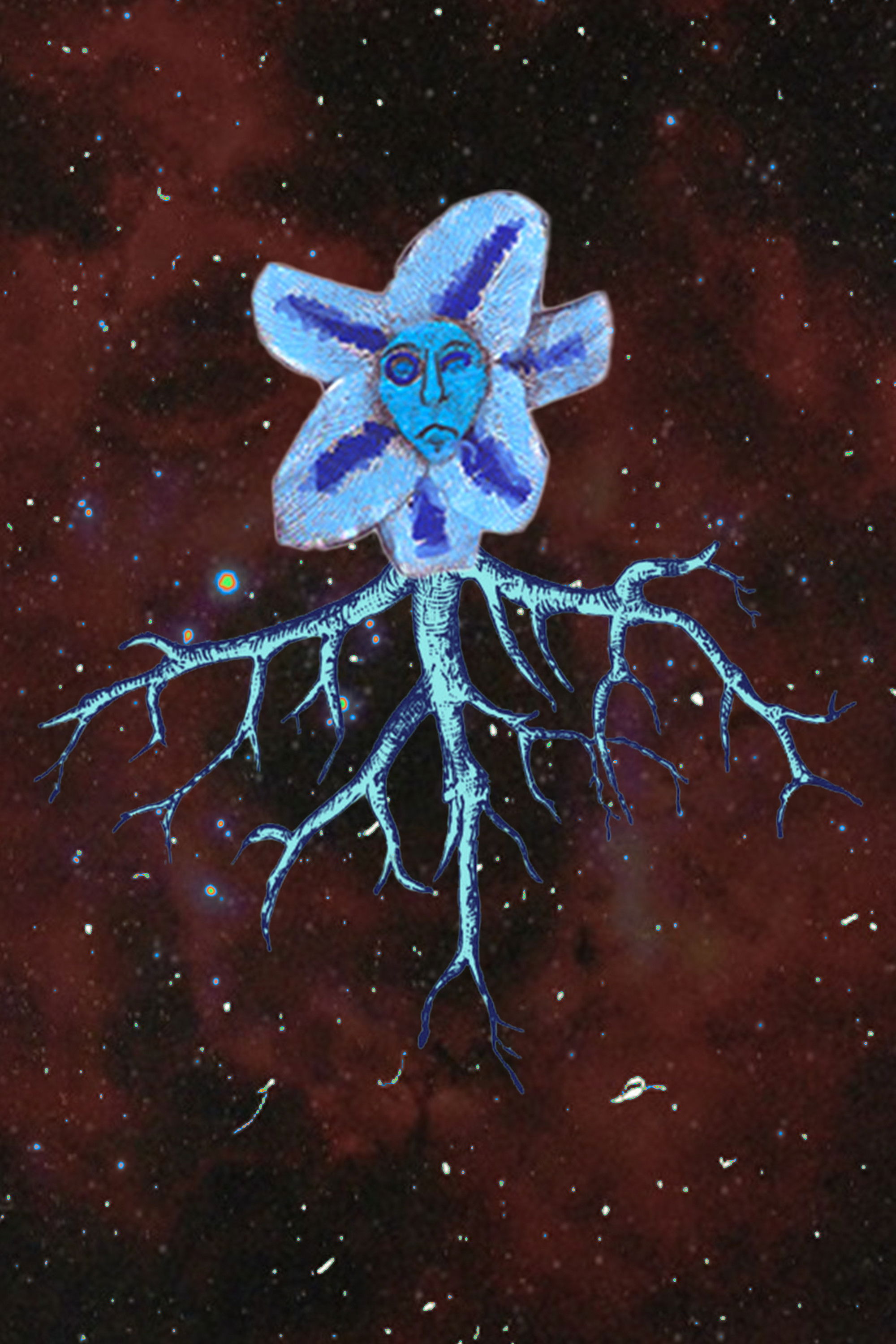 et billede af Dominique