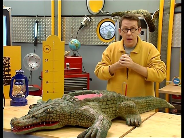 C'est pas sorcier - Les crocodiles