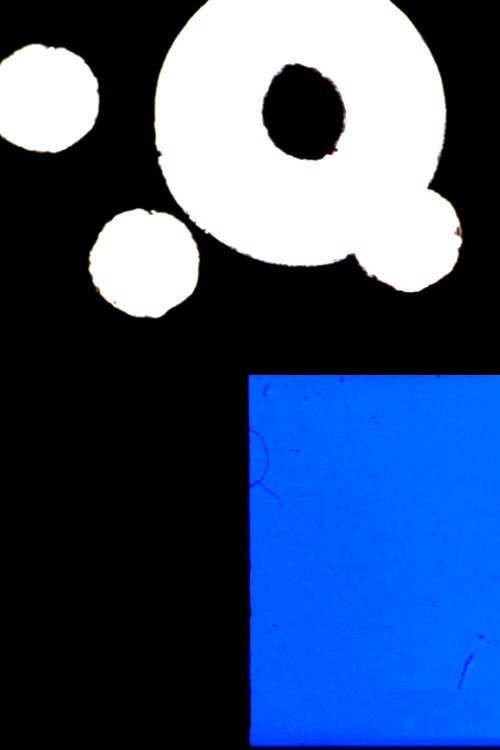 Content cover
