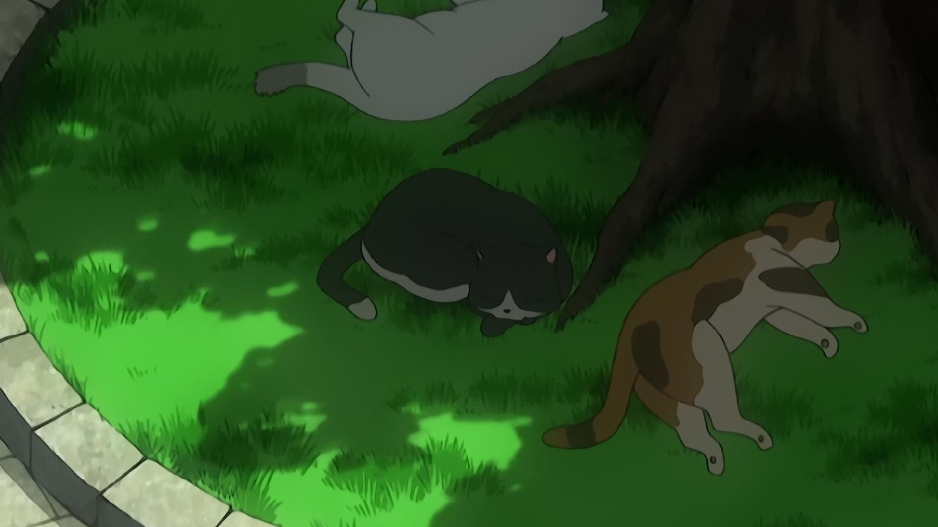 Episode 12