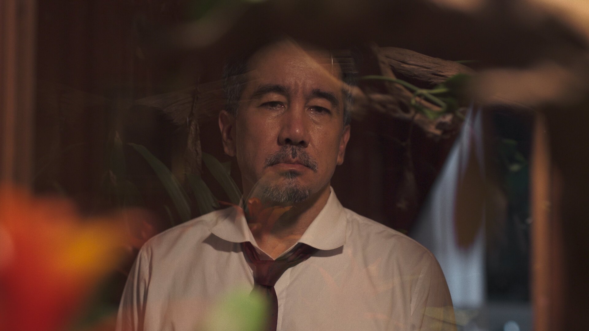 El señor de la casa
