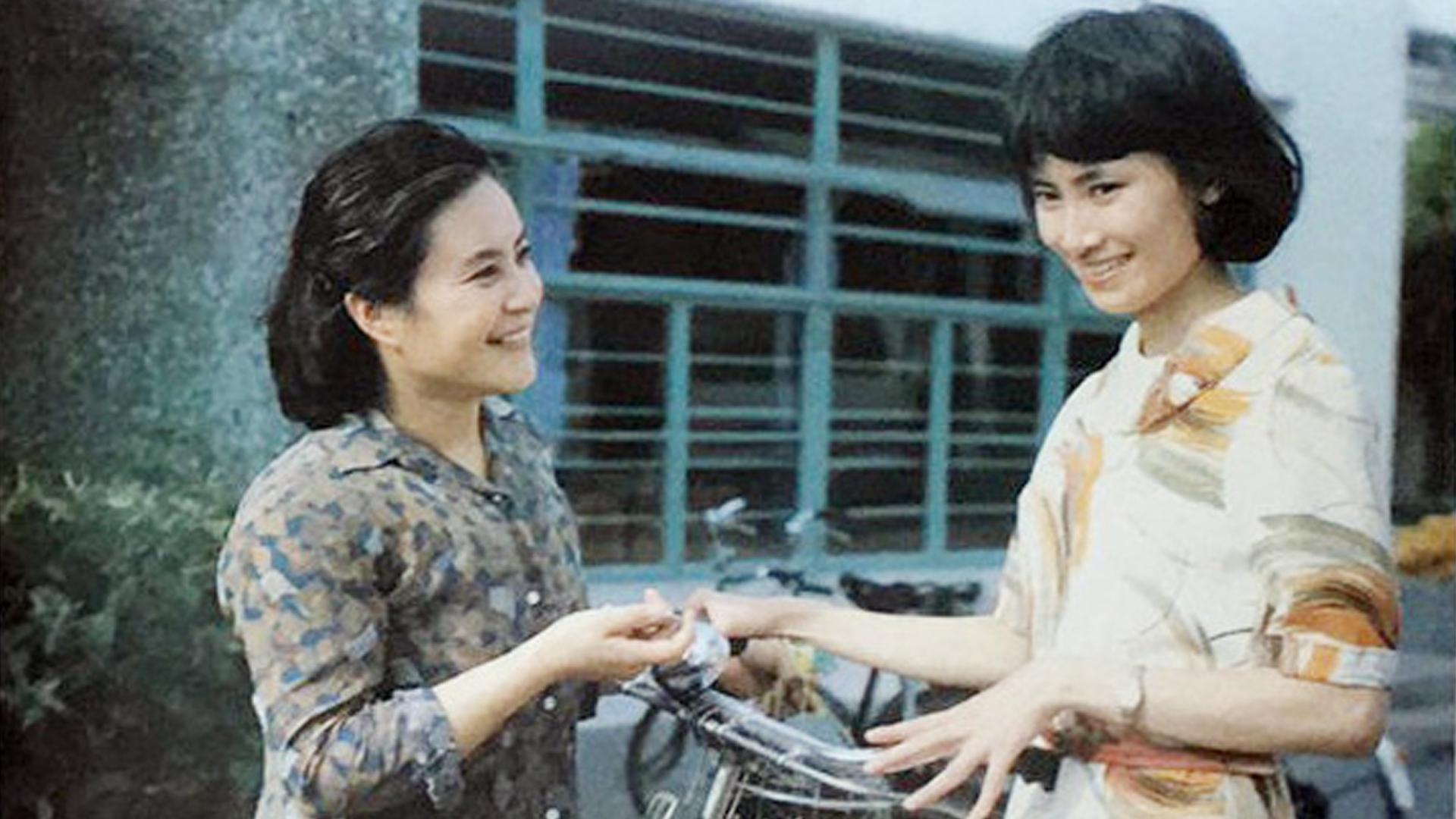 女局长的男朋友 (1986)