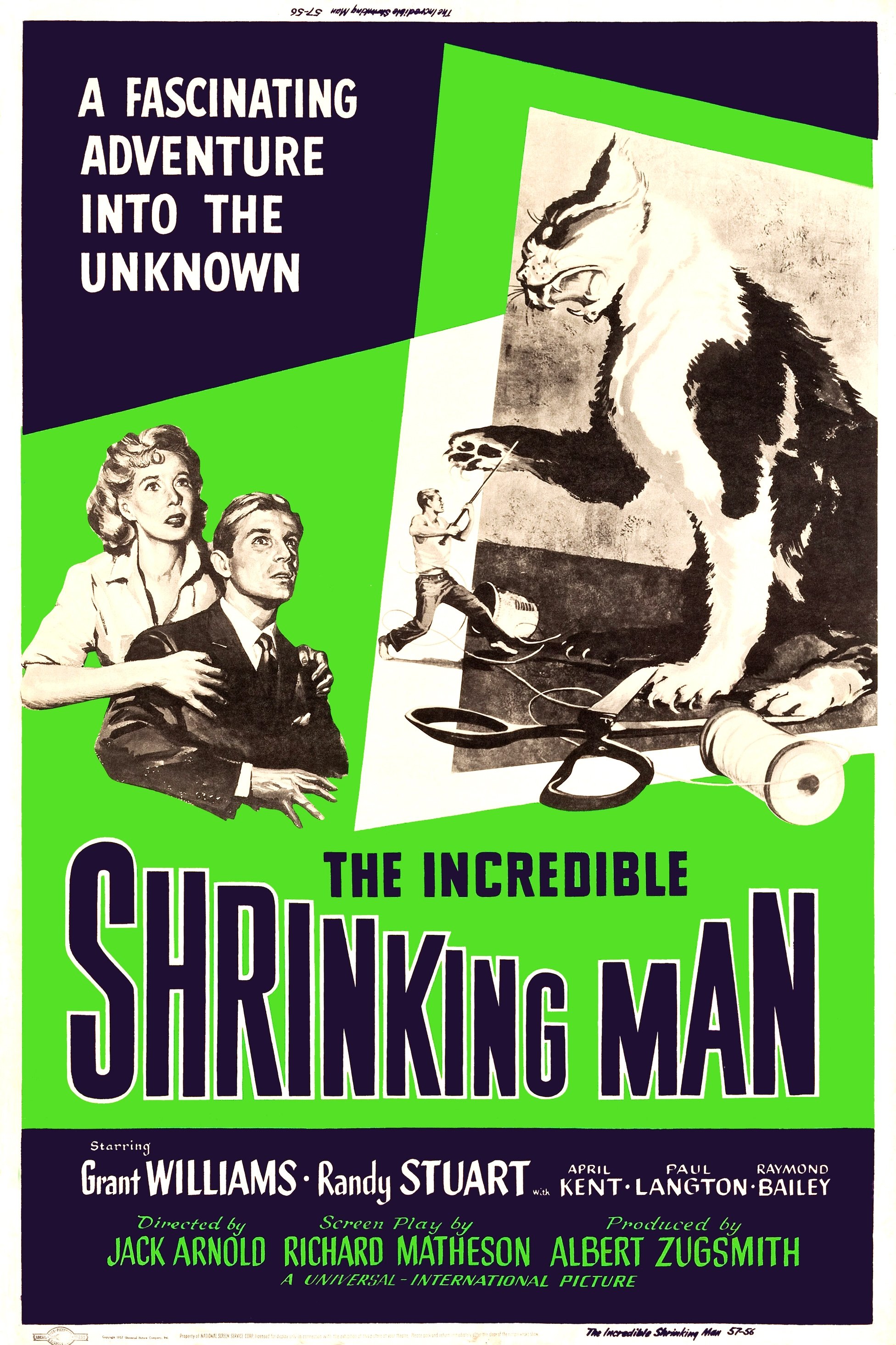 The Incredible Shrinking Man